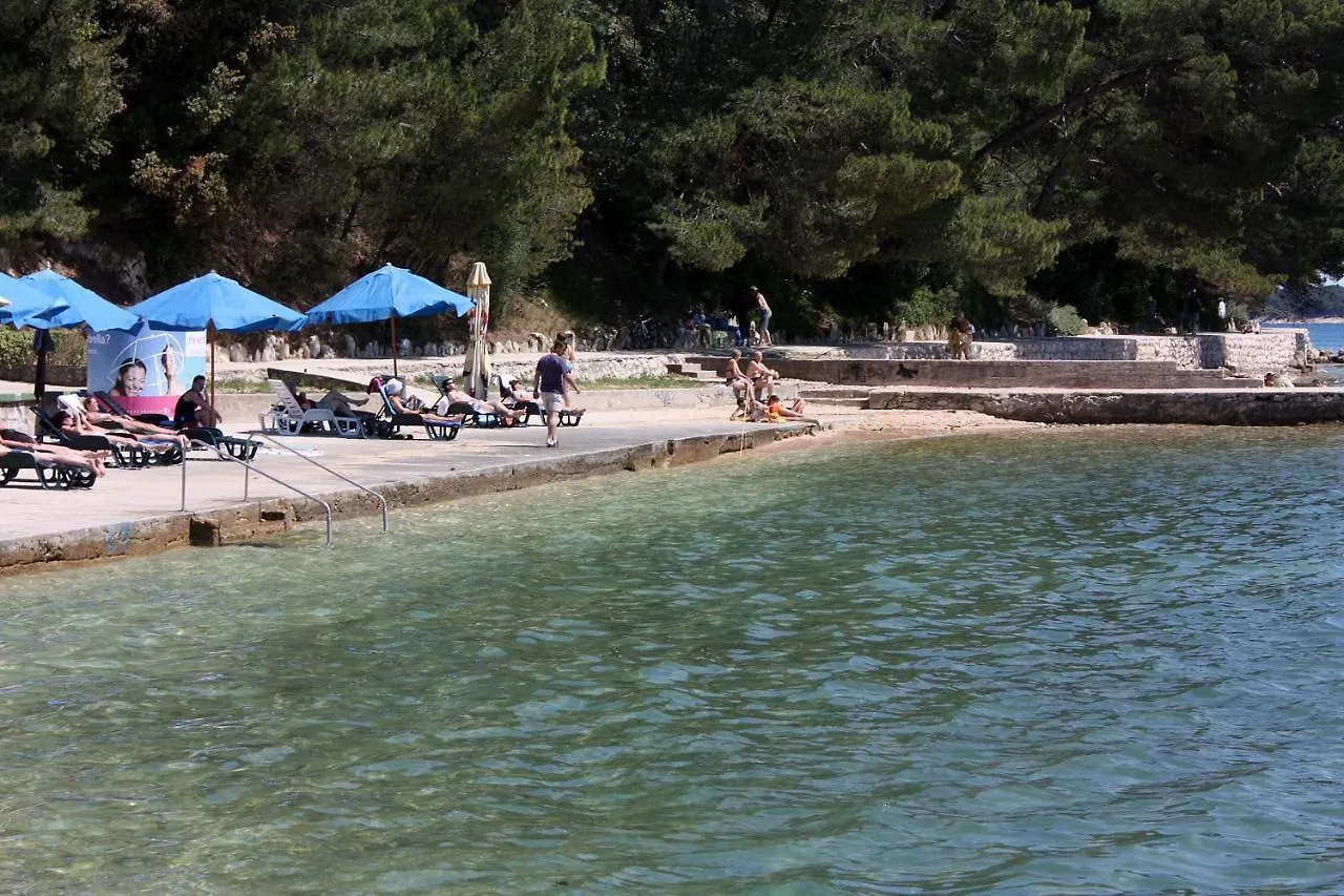 Apartment Studio Palit 3195C Croatia